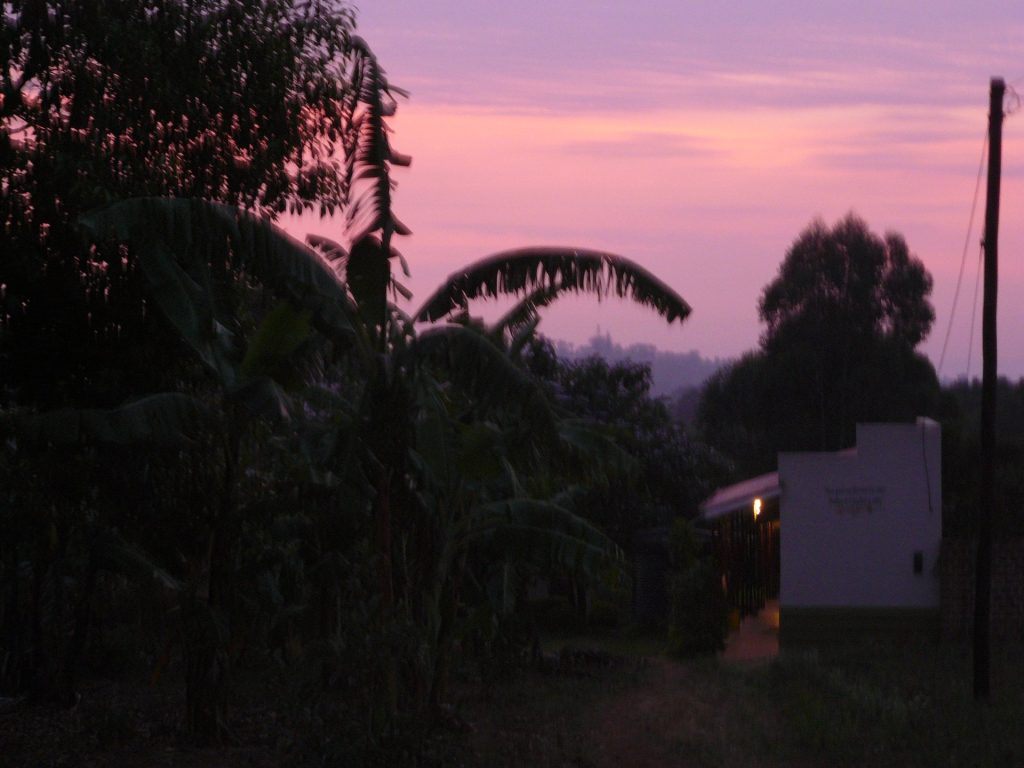 Abendhimmel über Bananenstauden