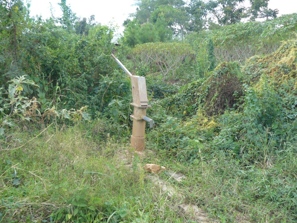Handpumpe im Grünen