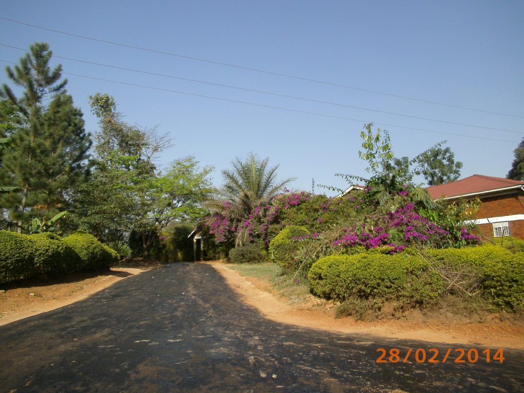 Asphaltierte Straße mit Blumen