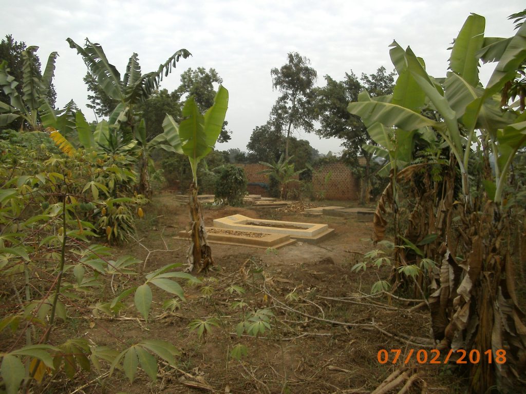 Bananengarten